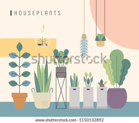 various kind of house plant pots. flat design style vector graphic illustration set