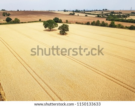 Aerial view of the dry parched arable fields around East Lound, nr. Doncaster, Lincolnshire, UK