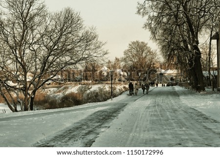 city winter alley tree landscape