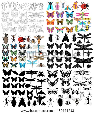 vector, isolated, insects, butterflies, flies, dragonflies, beetles, large set