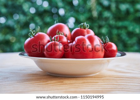  Closeup Picture of the organic fresh riped red heirloom and classic tomatoes in ceramic bowl, just after harvest on the wooden garden table with soft focus background.                             