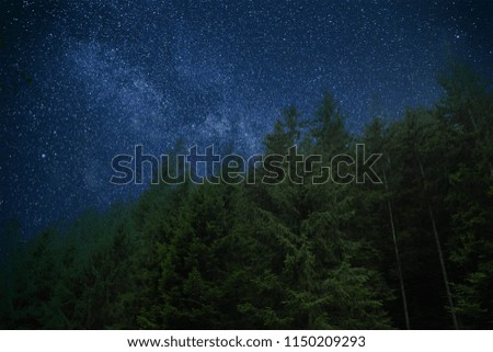 a tree in space