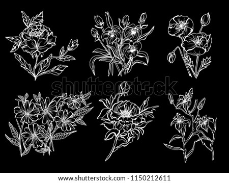 Decorative peony, lily, poppy  flowers, design elements. Can be used for cards, invitations, banners, posters, print design. Floral background in line art style
