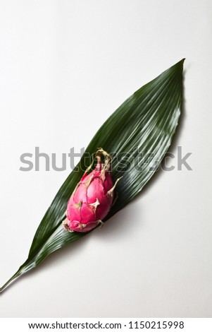 Top view of tropical exotic dragon fruit or pitaya with evergreen leaves with a graphic striped texture isolated on a white background
