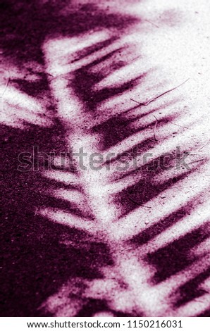 minimal concept. shadow of palm leaf on ground (ulta violet)