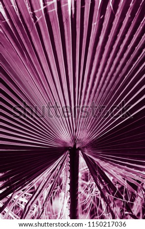 nature poster. palm leaf. ultra violet texture.