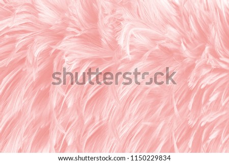 Beautiful Coral Pink vintage color trends feather pattern texture background for Decorative design , wallpaper or other