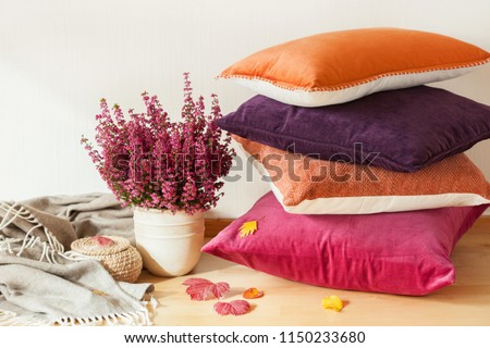colorful cushions throw cozy home autumn mood flower Royalty-Free Stock Photo #1150233680