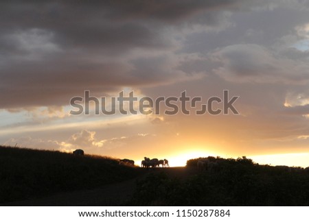 Sunset in Utah Mountains