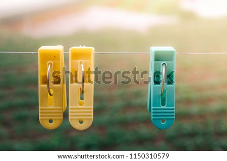 Three plastic clothes pegs. Royalty high quality stock photo of yellow plastic clothes peg and blue plastic clothes peg clothespin clipped on outdoor clothesline metal line. Green garden background