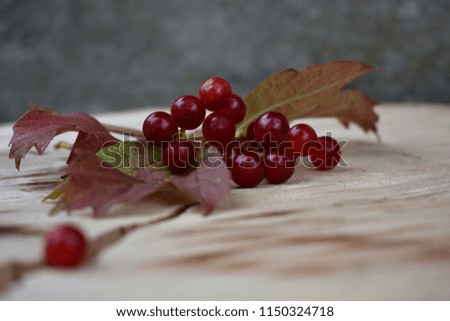 Red berries of dew on a wooden background.Guelder rose / Viburnum opulus Royalty-Free Stock Photo #1150324718