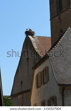 Stork's Nest in Eguisheim 