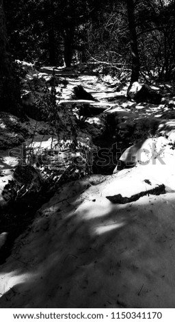 River in the forest  during winter with snow. Shadows of tree on the ground #7