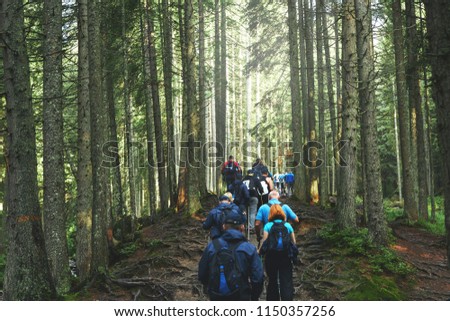 big group of hikers on the mountain trail in the Carpathian forest. teambuilding in the hike, corporate events. Team building outdoor in the forest Royalty-Free Stock Photo #1150357256