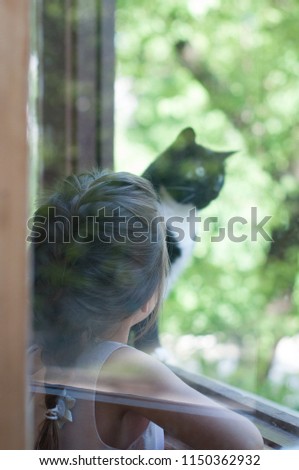 little girl strokes a cat, the child looks at the cat