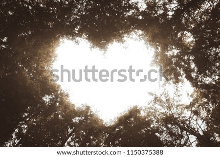 A heart shape out of the tops of the trees