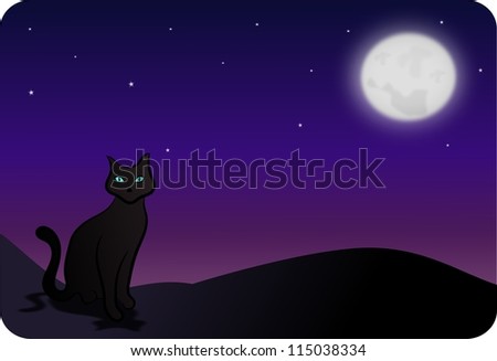 Summer night with cat silhouette