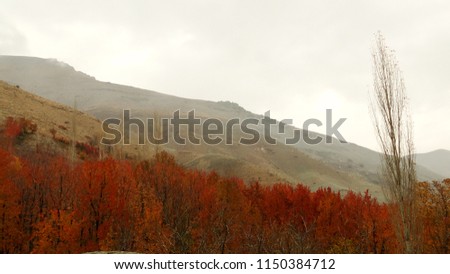 Country side in Autumn