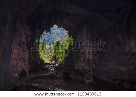 Cavern, cave of the owls in Tingo Maria