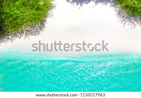 White sand beach with turquoise water and green plants from above