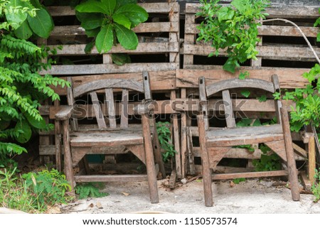 Abandoned duo old retro wooden chairs with green plants and vintage hardwood slatted background.