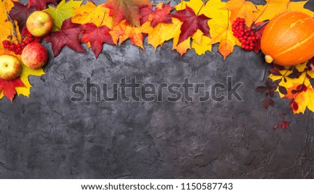 colorful autumn leaves with apple, rowan and pumpkin on a black textural background
