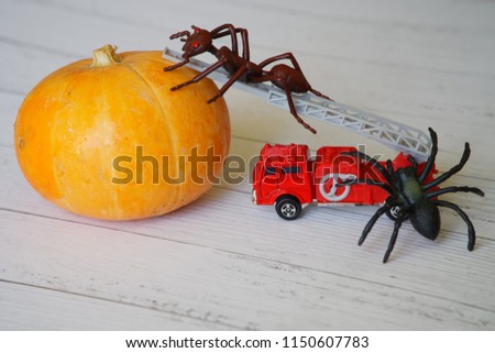             Pumpkin for Halloween and strange insects. Toy ant and spider on the fire escape climb onto the pumpkin.                  