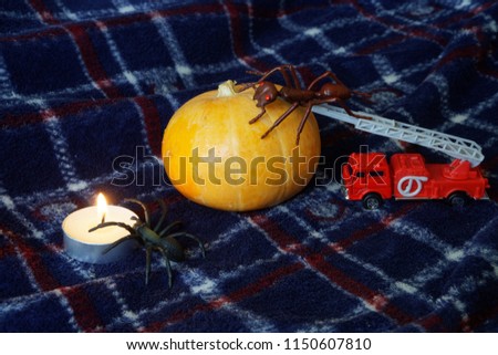   Pumpkin for Halloween, strange insects and a candle. The toy ant goes down the fire escape to the pumpkin.                             