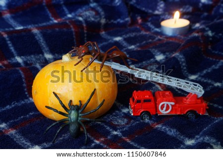              Pumpkin for Halloween, strange insects and a candle. Toy ant and spider on the fire escape climb onto the pumpkin.                  