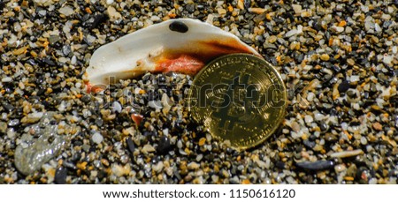 Crypto currency Gold Bitcoin, BTC, macro shot of Bitcoin coins on beach background,  bitcoin mining concept