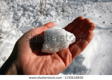 white snowball on the palm closeup at winter on the snow background