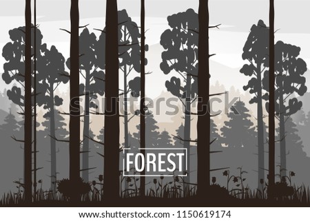 Forest landscape minimalistic illustration. Pines trees silhouettes. Nature scene. Realistic color background with silhouettes, trees, pine, fir, nature, hills, grass and flowers, environment, horizon