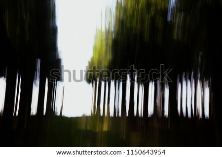 abstract photoart of forest and wilderness