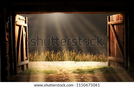 View from an open door of an old wooden barn. The sun shines through the storm clouds. Before the barn there is a corn field. Royalty-Free Stock Photo #1150675061