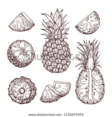 Hand drawn realistic pineapples, whole and sliced. Design elements. Hand drawn retro illustration collection set.  Can be used for cards, invitations, scrapbooking, print, manufacturing. Royalty-Free Stock Photo #1150693454