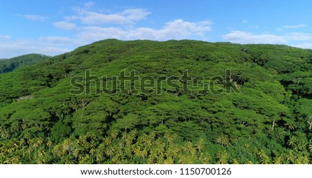 mountain landscape in the Pacific Islands
