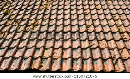 A tile roof of the Liestraupe castle close-up, Latvia