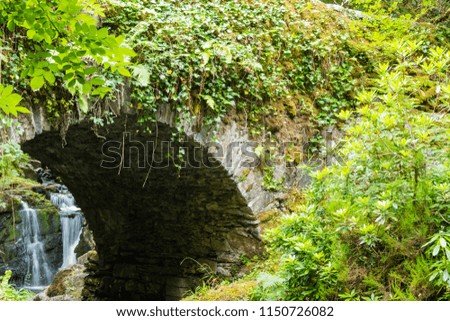 Arch Brigde Killarney National Park Ireland