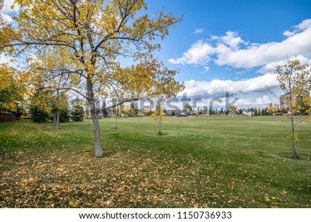 Wide angle view standing on a grassy field looking out at the buildings in the distance. Sunny fall day with cloudy blue skies, and yellow trees. 