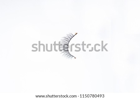 Eyelashes for dicut. Eyelashes on white background