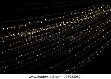 Many lightbulbs hanging on cable as garland decorative in festival isolated on dark night sky background, beautiful design of light string