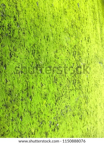Green grass background, nature texture, leaves, plant, wall