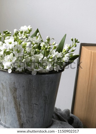 bucket with small white spring flowers