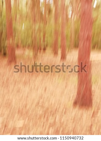 
Abstract Trees in the Forest