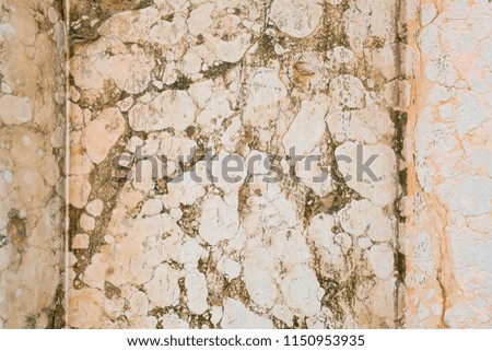ancient marble wall detailed background from Venice, Italy
