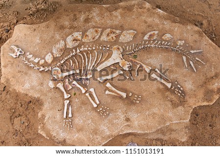excavations of dinosaur. The remains of the skeleton found Royalty-Free Stock Photo #1151013191
