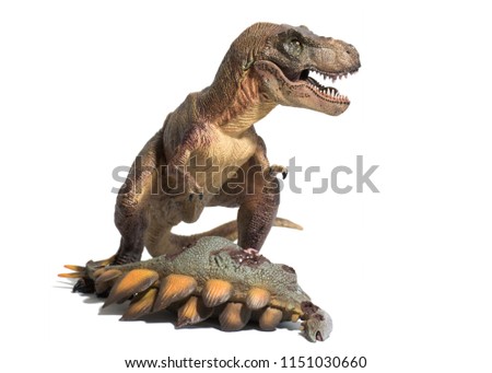 Tyrannosaurus rex with killed stegosaurus on white background