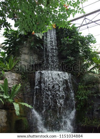 waterfall in the tropical forest