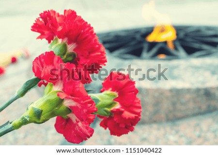 three red carnations bent over an arc, a background of a flame of eternal flame