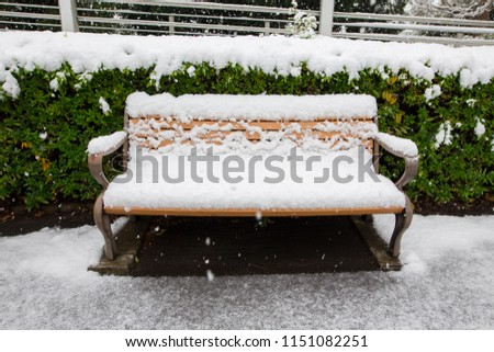 Wooden chair covered with snow white located in the middle of a park in Japan.